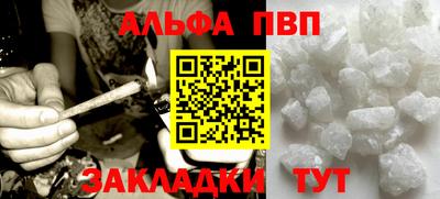 прущие грибы Можга